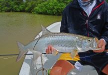  Imagen de Pesca con Mosca de Tarpón por Alfredo Mimenza – Fly dreamers