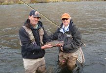 more and more bull trout each year