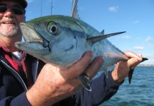 Capt. Dave Guerard 's Fly-fishing Catch of a False Albacore - Little Tunny – Fly dreamers 