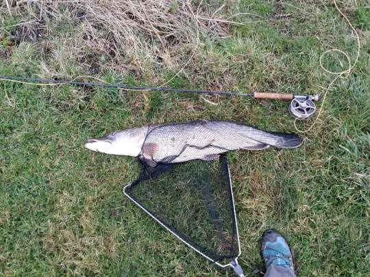 Fishing Report: River Witham by Adventurer Ali | Fly dreamers