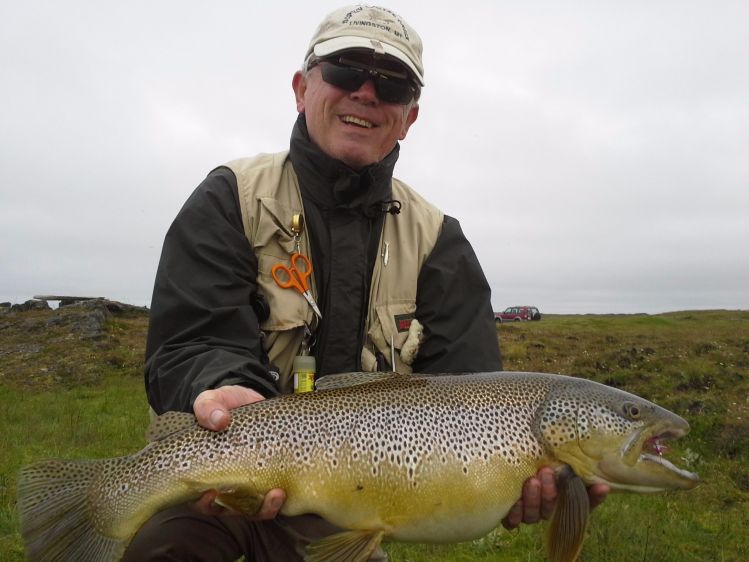 Monster Brown Trout from Skjálftavatn in Litla á.