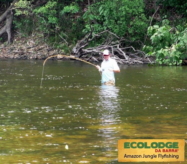 Crystal clear waters of Bararati river, Amazon Brazil, allows you to sight cast most of the time