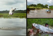 Tarpon Fly-fishing Situation – Fin Chasers Magazine shared this Interesting Pic in Fly dreamers 
