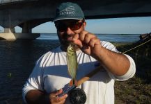  Foto de Pesca con Mosca de Pirá pitá compartida por JUAN Winchester – Fly dreamers