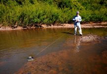  Interesante Situación de Pesca con Mosca de Blue wolf fish– Foto por Luis San Miguel en Fly dreamers