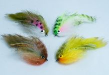 Duranglers Flies And Supplies 's Sweet Fly Photo – Fly dreamers 