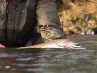 Foto de pesca con mosca