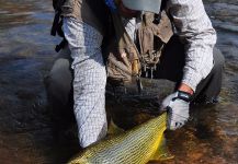 DIEGO COLUSSI 's Fly-fishing Pic of a Salminus maxillosus – Fly dreamers 