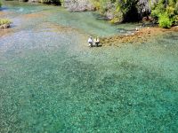 Fly fishing picture