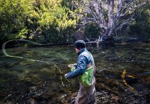  Brownie – Situación de Pesca con Mosca – Por Martin Carranza