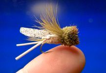 Carlos Estrada 's Fly for Rainbow trout - Image – Fly dreamers 