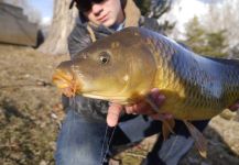 Luke Alder 's Fly-fishing Catch of a Ctenopharyngodon idella – Fly dreamers 