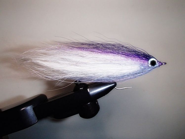 Hollow fly morning colors....white tail of ostrich and bucktail, then lavender and dark purple on top with hidden UV lavender Crystal Flash then a grey belly mix.