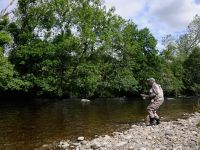 Fly fishing picture