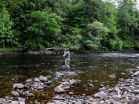 Fly fishing picture