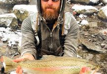 Fly-fishing Photo of Steelhead shared by Nate Adams – Fly dreamers 