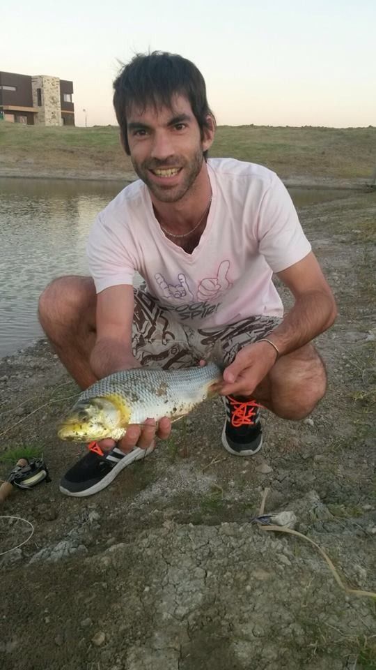 After office en laguna artificial de loma verde. Un sabalito se engancho de un streamer para taruchas