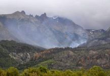 El incendio se encuentra circunscripto