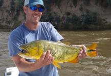  Imagen de Pesca con Mosca de Freshwater dorado compartida por Pablo Costa Gonta – Fly dreamers