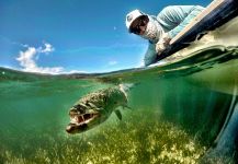 Frankie Marion 's Fly-fishing Pic of a Barracuda – Fly dreamers 