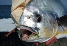 Mike Wilbur 's Fly-fishing Image of a Permit – Fly dreamers 
