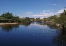 Cataratitas (Arroyo Vega. Esquina Ctes) 06-02-16.-