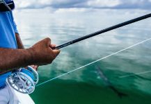Tarpon Fly-fishing Situation – Thomas & Thomas Fine Fly Rods shared this Impressive Image in Fly dreamers 
