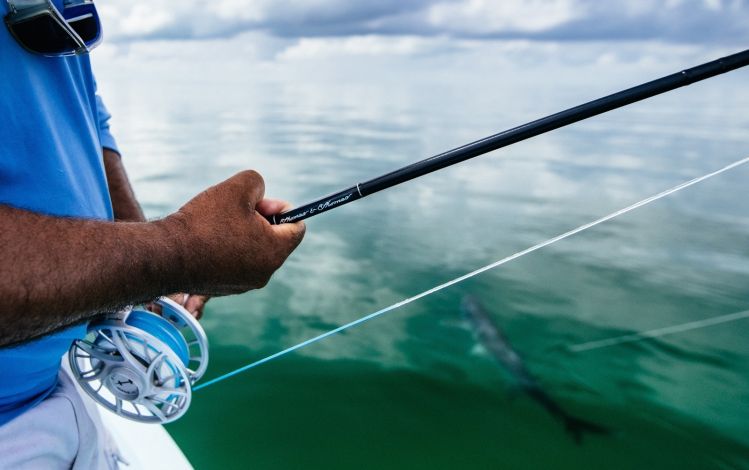 Working hard for the last few feet of line at Tarpon Club Isla Holbox. Photo Noah Rosenthal @arkfilm_dp