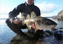 Fly-fishing Picture of Cod shared by Fly Fishing Fanatics – Fly dreamers