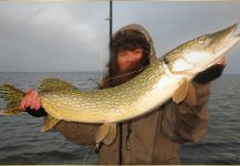 fly fishing for pike