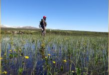 Pike Fly-fishing Situation – Bernd Ziesche shared this Image in Fly dreamers 