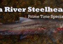 Steelhead Fly-fishing Situation – Peter Kaal shared this Sweet Image in Fly dreamers 
