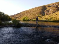 Fly fishing picture