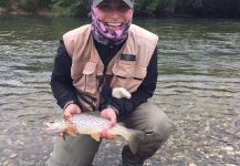 Salmo fario Fly-fishing Situation – Magdalena Aragon shared this Pic in Fly dreamers 