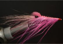  Mosca para Sea-Trout (Trucha Marrón Anádroma) compartida por Kuba Hübner – Fly dreamers 