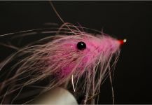  Mosca para Sea-Trout (Trucha Marrón Anádroma) compartida por Kuba Hübner – Fly dreamers 