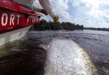  Fotografía de Pesca con Mosca de Tarpón por David Cowes – Fly dreamers 