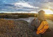  eastern brook trout – Situación de Pesca con Mosca – Por Damian Barreiro