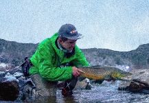 Gregory Houska 's Fly-fishing Catch of a Browns – Fly dreamers 