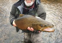 Dan Richards 's Fly-fishing Catch of a Loch Leven trout German – Fly dreamers 