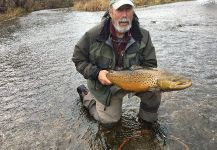 Fly-fishing Picture of Brown trout shared by Dan Richards – Fly dreamers