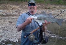 Keith Majors 's Fly-fishing Pic of a Striped Bass – Fly dreamers 