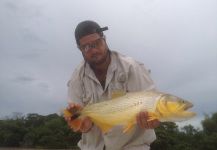  Fotografía de Pesca con Mosca de Golden dorado por Alejandro Ballve – Fly dreamers 