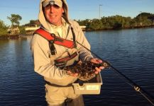 Fly-fishing Picture of Flounder shared by David Bullard – Fly dreamers