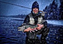 Fly-fishing Picture of Dolly Varden shared by Luke Metherell – Fly dreamers