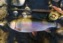  Imagen de Pesca con Mosca de Trucha arcoiris compartida por Lukas Bauer – Fly dreamers