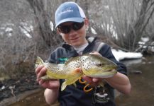 Fly-fishing Picture of English trout shared by Luke Alder – Fly dreamers