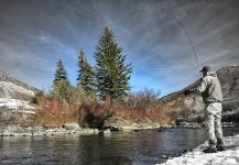  Situación de Pesca con Mosca de Trucha marrón– Foto por Fly Fishing Outfitters en Fly dreamers