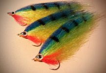 Moscas para tucunare -  Peacock bass flies