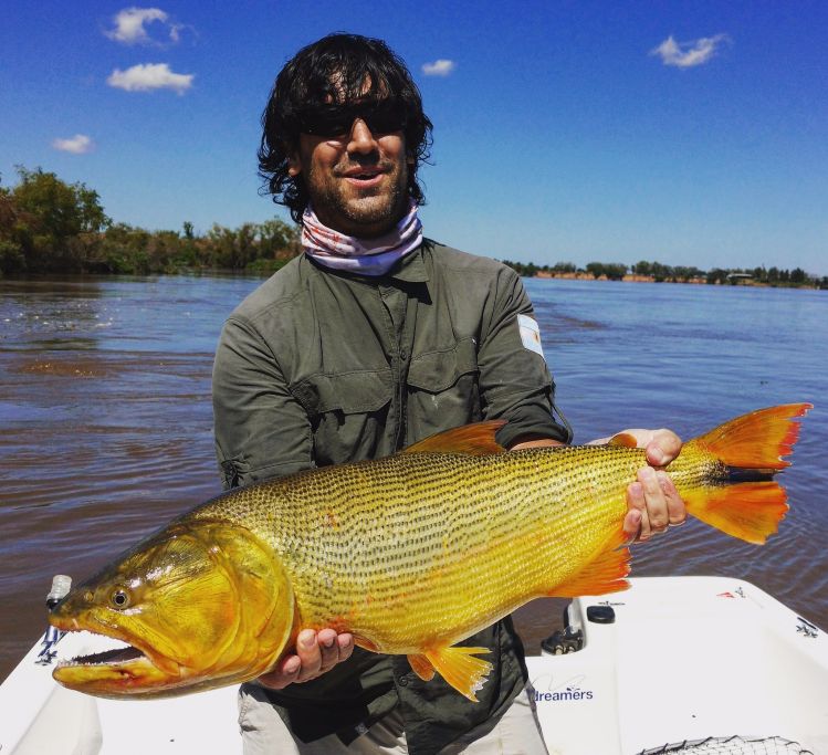 un Doradazo de Fernando en Rosario